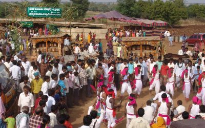 25th Mobile Biodiversity Festival